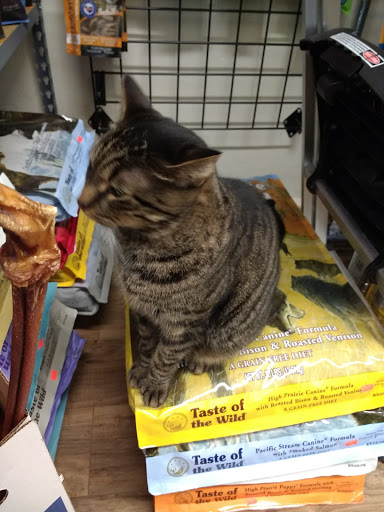 Pet Supply Store «I Love My Pet Food and Supplies», reviews and photos, 899 Nostrand Ave, Brooklyn, NY 11225, USA