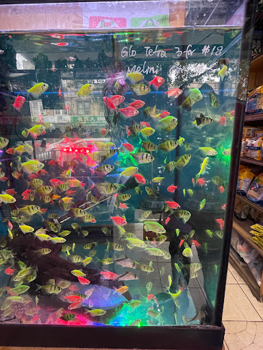 New Lucky Fish Aquarium & Pet Supply