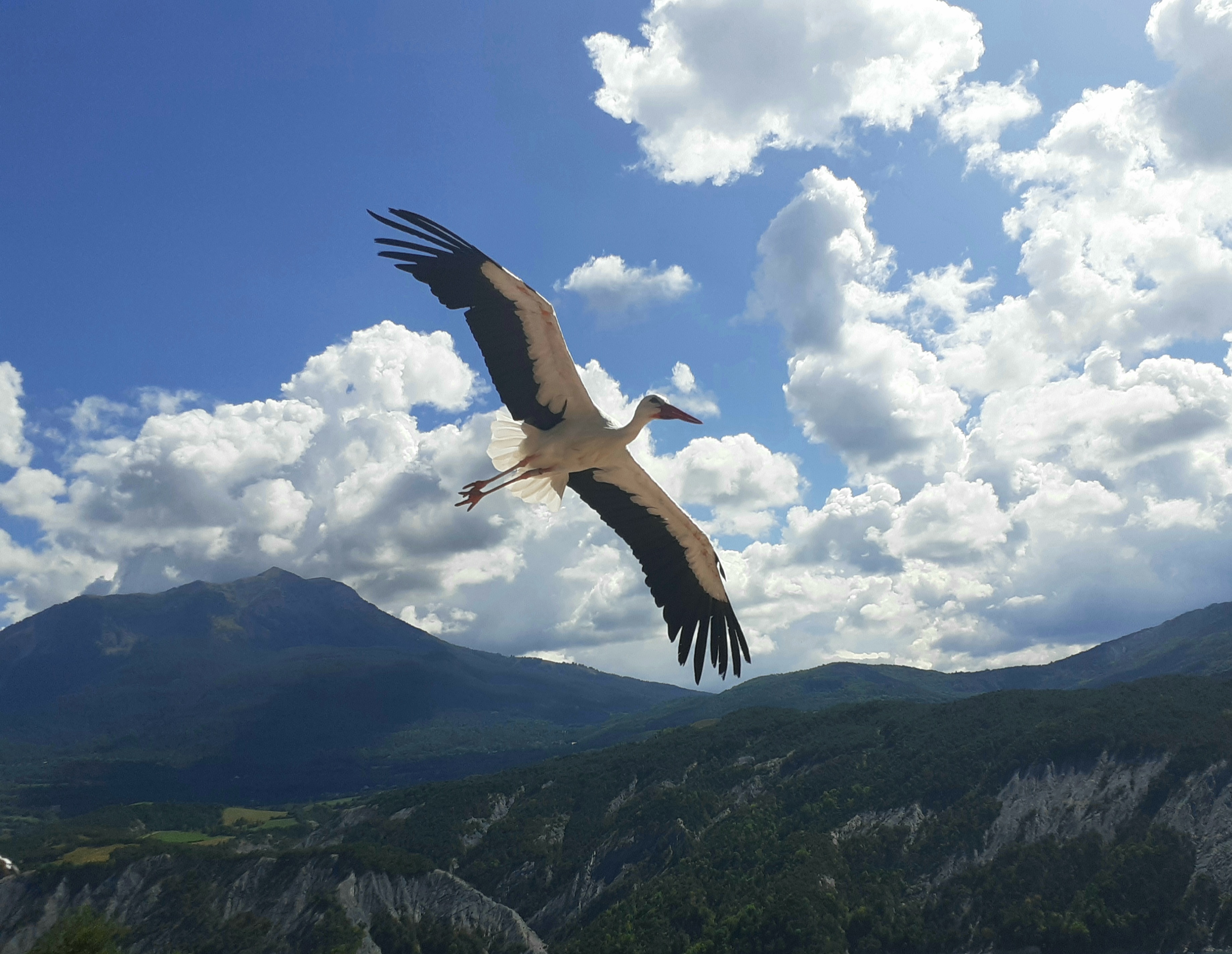 Photo n° 1 de l'avis de Pink.i fait le 06/09/2021 à 16:33