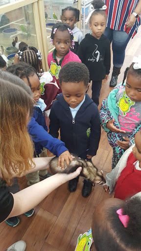 Pet Supply Store «Pet Supermarket», reviews and photos, 2370 Hillcrest Rd Unit E, Mobile, AL 36695, USA