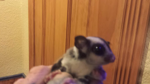 Pet Supply Store «Petco Animal Supplies», reviews and photos, 11633 Ulysses Ln NE #200, Blaine, MN 55434, USA