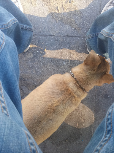 Explore tattoo ideas patriotic, creative tattoo ideas in Venice, available at House of Ink