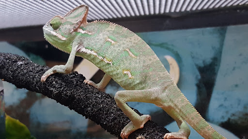 Pet Supply Store «Petco Animal Supplies», reviews and photos, 2565 NE 10th Ct, Homestead, FL 33035, USA