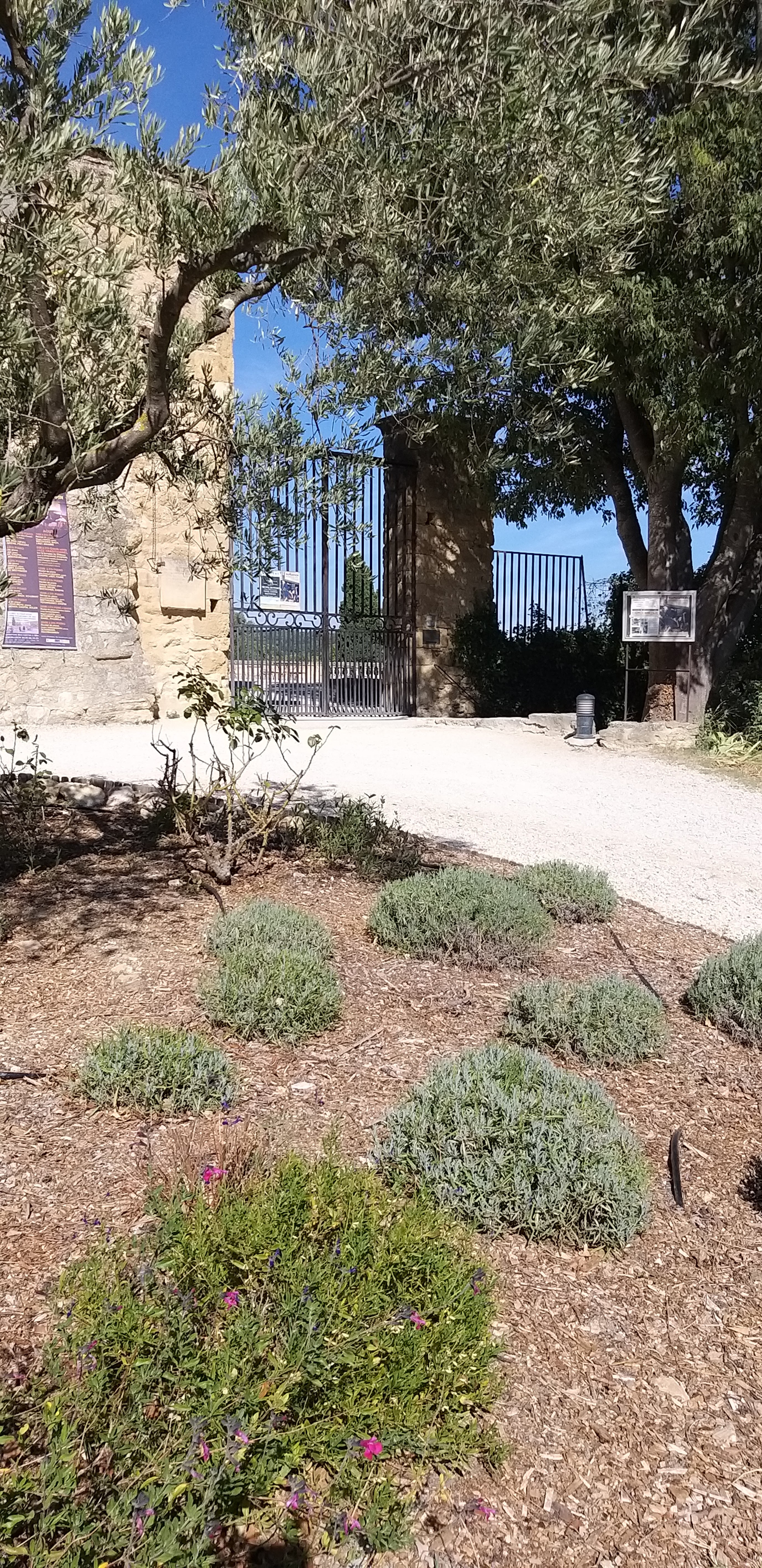 Photo n° 50 de l'avis de unmecdesannees80. fait le 27/08/2019 à 18:09