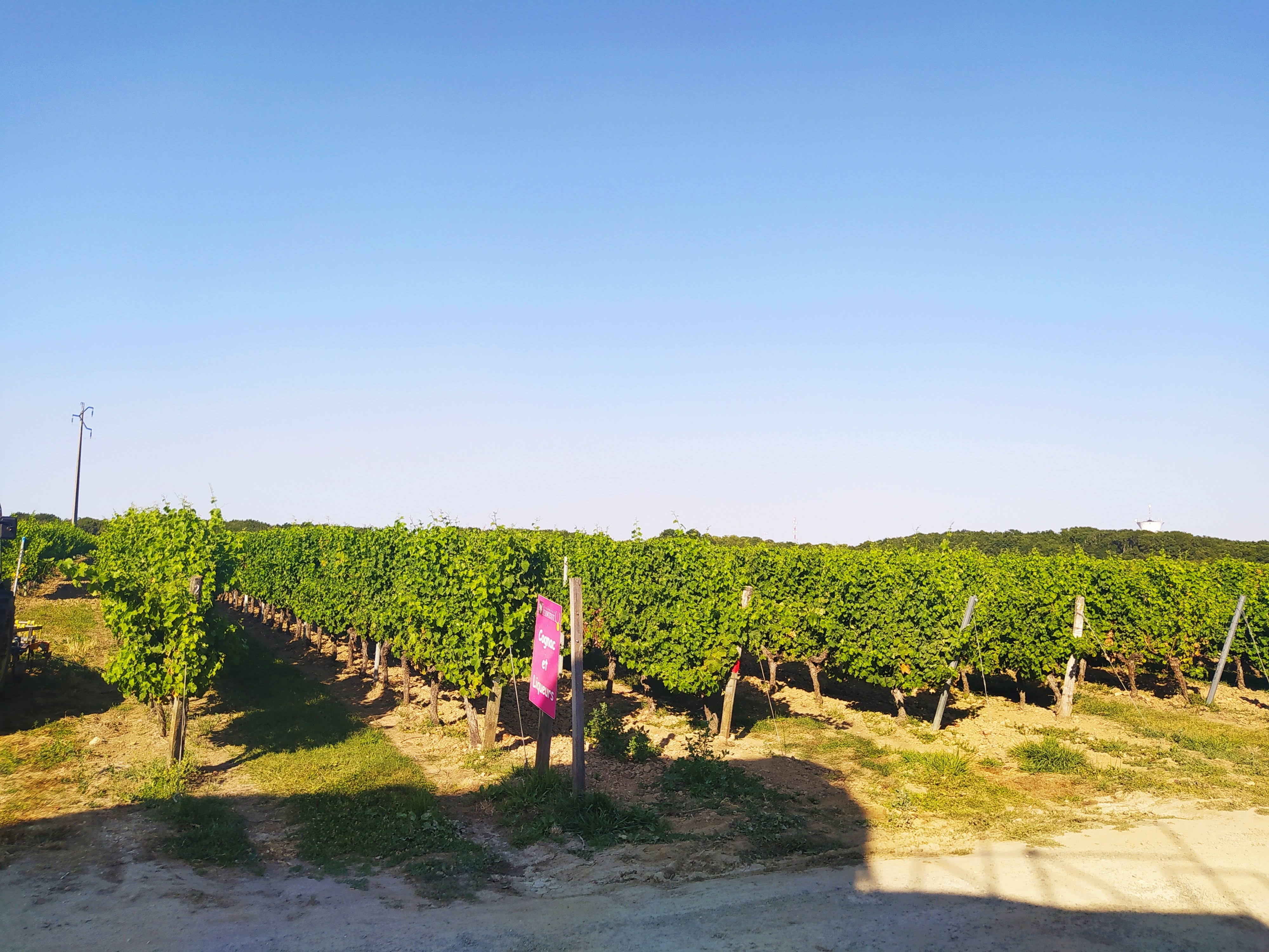 Photo n° 1 de l'avis de fabienne.a fait le 30/07/2020 à 17:18