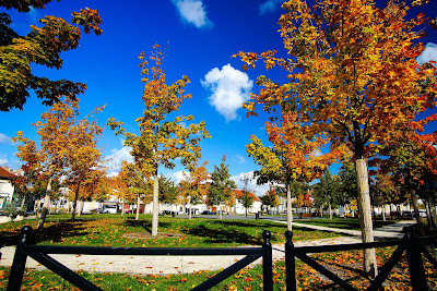 Place de la Mairie à Hermonville