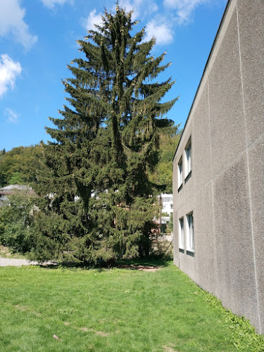 Schule Meierhof - Baden