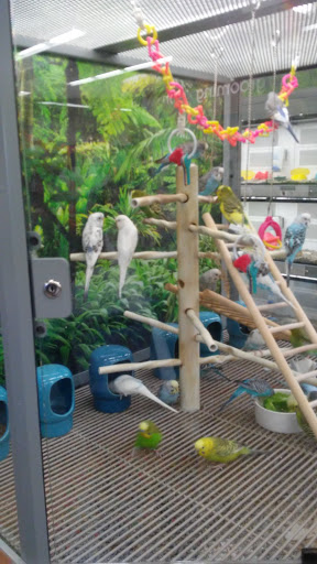 Pet Supply Store «Petco Animal Supplies», reviews and photos, 816 Washington St, Middletown, CT 06457, USA