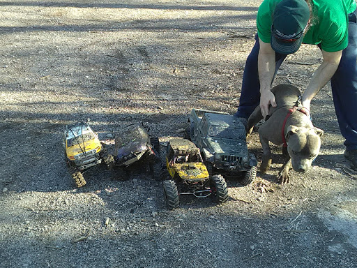 Park «Wayne County Parks & Rec», reviews and photos, 33175 Ann Arbor Trail, Westland, MI 48185, USA