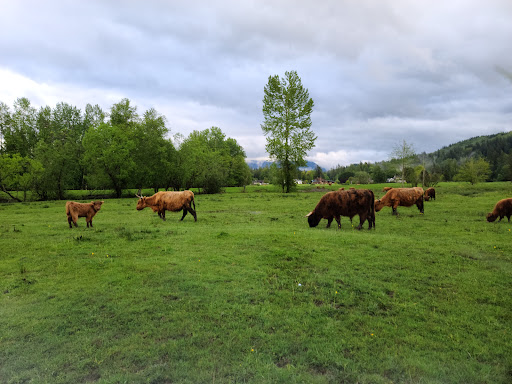 Snoqualmie Fall Golf Course