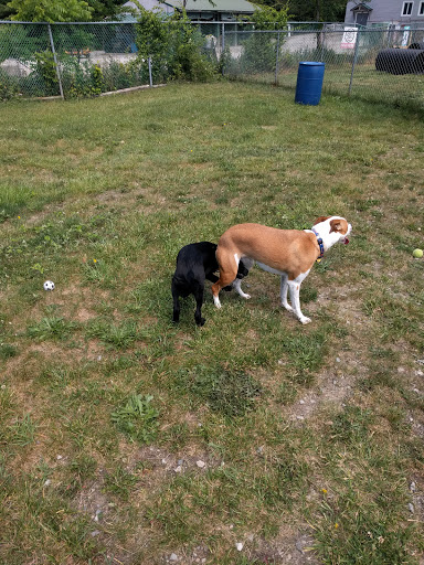 Pet Supply Store «Pequannock Feed & Pet Supply», reviews and photos, 85 Marshall Hill Rd, West Milford, NJ 07480, USA