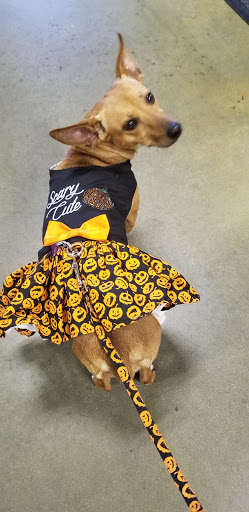 Pet Supply Store «PetSmart», reviews and photos, 262 Pooler Pkwy, Pooler, GA 31322, USA