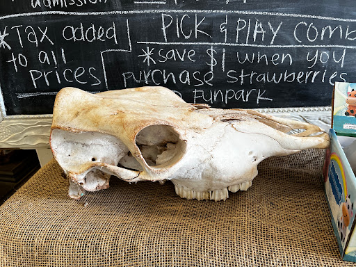 Farm «Warbington Farms (U-Pick Strawberries)», reviews and photos, 5555 Crow Rd, Cumming, GA 30041, USA