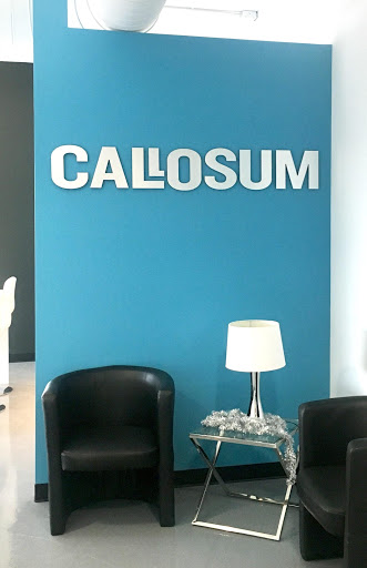 Callosum Marketing Inc