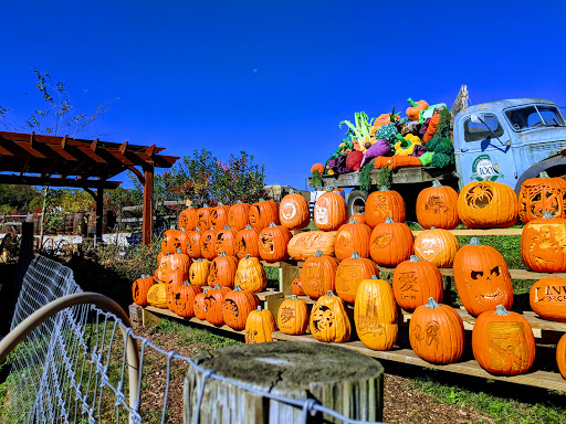 Produce Market «Linvilla Orchards», reviews and photos, 137 Knowlton Rd, Media, PA 19063, USA