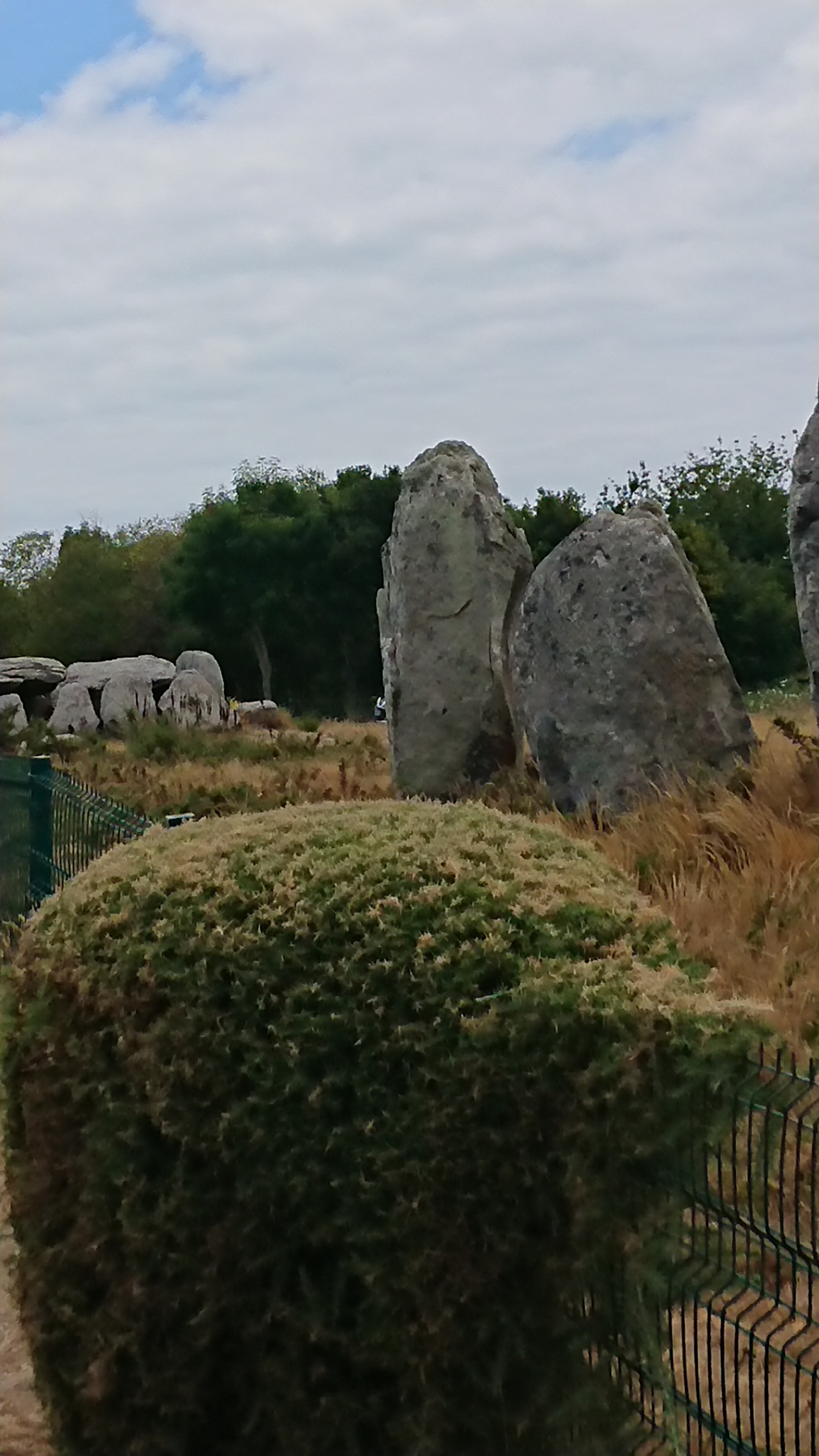 Photo n° 9 de l'avis de Aléane.T fait le 21/07/2022 à 15:37