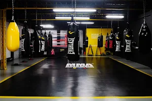 MMA Colombia image