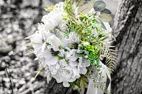 White-Line Photography GVL - Photo 2 - Car repair in , Greenville