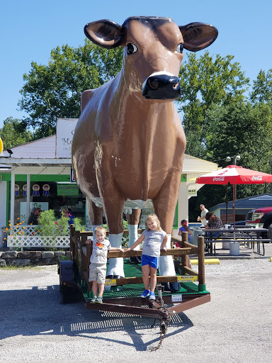 Ice Cream Shop «Chunky Monkey Ice Cream Shop», reviews and photos, 139 Little Senator Cir, Clinton, TN 37716, USA