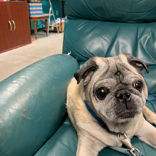 Cell Phone Store «Gadget MD Cell Phone & Tablet Repair - Fall Creek», reviews and photos, 9365 North Sam Houston Pkwy E #300, Humble, TX 77396, USA