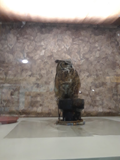 Nature Preserve «Effie Yeaw Nature Center», reviews and photos, 2850 San Lorenzo Way, Carmichael, CA 95608, USA