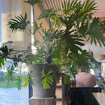 Photo n°3 de l'avis de MONICA.O fait le 23/12/2023 à 14:43 sur le  Il Moro soul food & cafè à Brescia