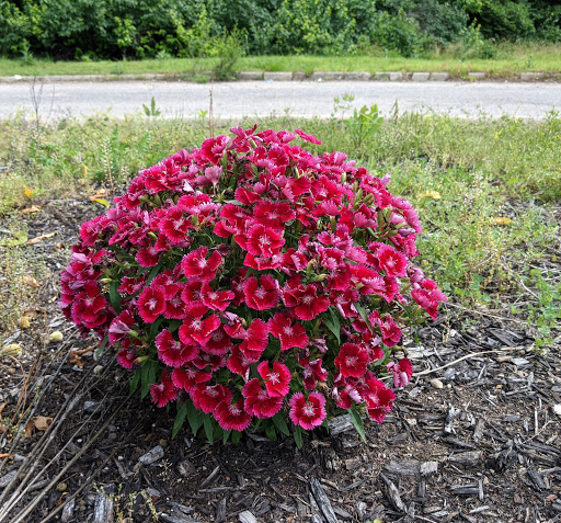 Oil Change Service «Jiffy Lube», reviews and photos, 6780 Roosevelt Ave, Middletown, OH 45044, USA