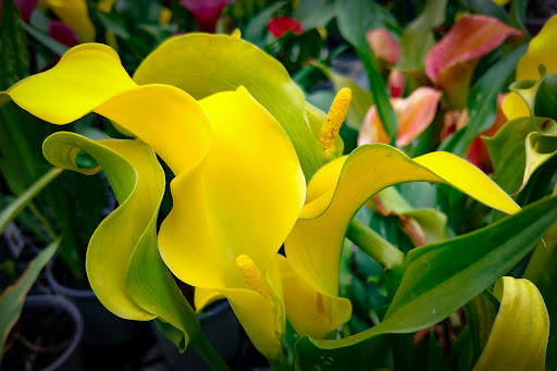 Home Improvement Store «The Home Depot», reviews and photos, 4949 NW Old Pike Rd, Gladstone, MO 64118, USA