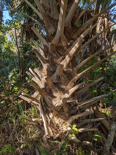 Non-Profit Organization «Sanibel-Captiva Conservation Foundation», reviews and photos, 3333 Sanibel Captiva Rd, Sanibel, FL 33957, USA