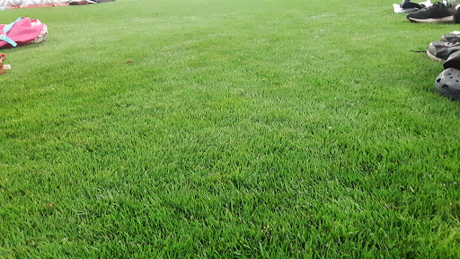 Stadium «Great American Ball Park», reviews and photos, 100 Joe Nuxhall Way, Cincinnati, OH 45202, USA