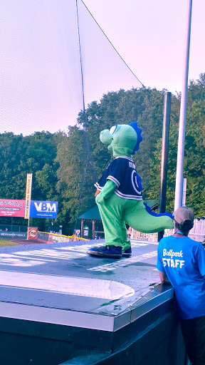 Stadium «Centennial Field», reviews and photos, 287 Colchester Ave, Burlington, VT 05401, USA