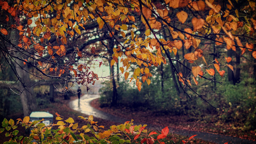 Park «Franklin Park», reviews and photos, 1 Franklin Park Rd, Boston, MA 02121, USA