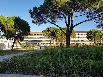 Lycée Jules Guesde à Montpellier