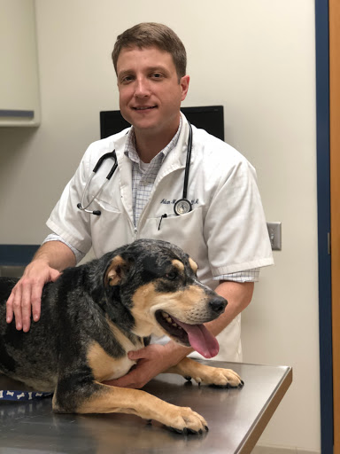 Mill Town Veterinary Clinic image