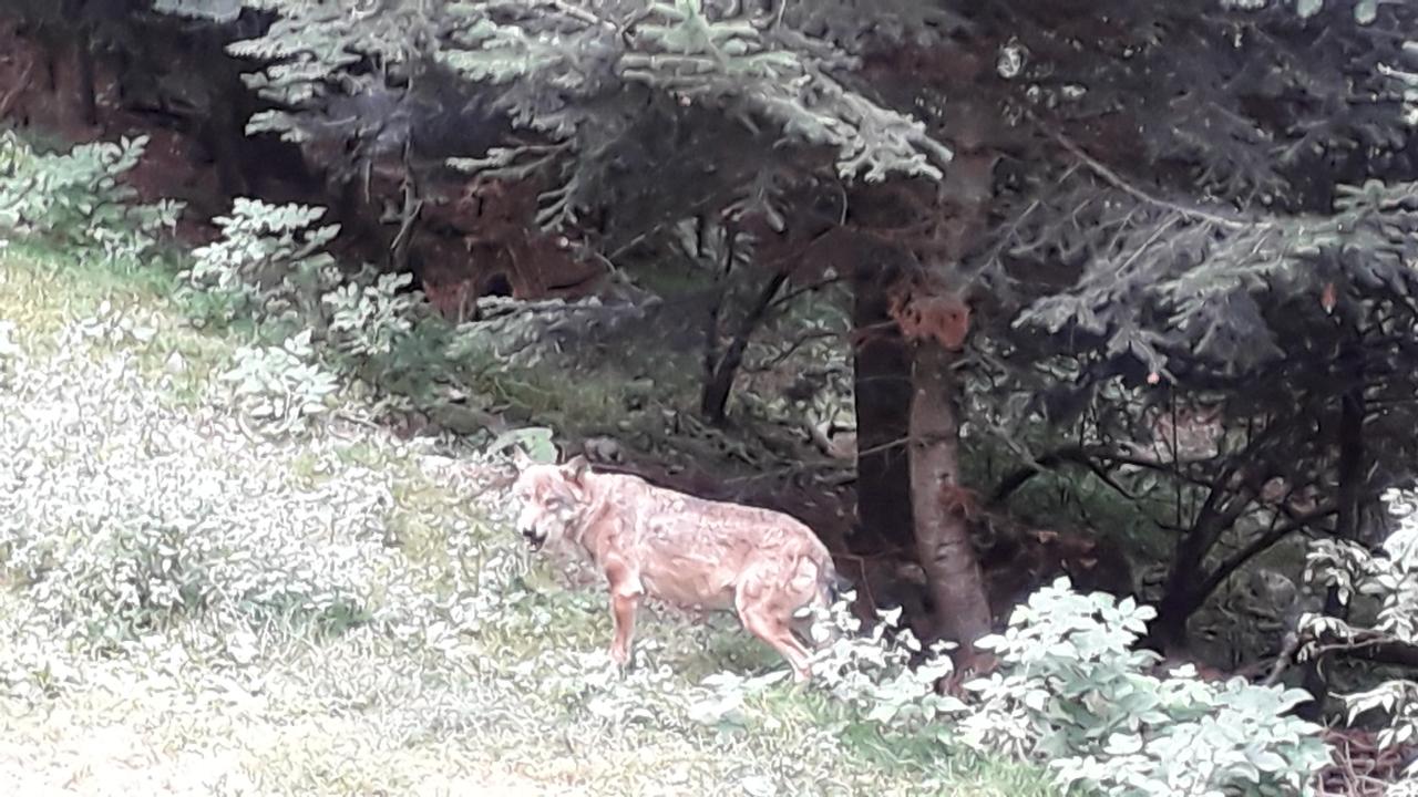 Photo n° 5 de l'avis de Hock. fait le 29/08/2019 à 15:28
