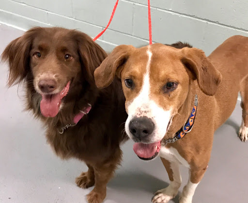 Employment Agency «Express Employment Professionals - Tacoma, WA», reviews and photos, 5821 S Sprague Ct #101, Tacoma, WA 98409, USA