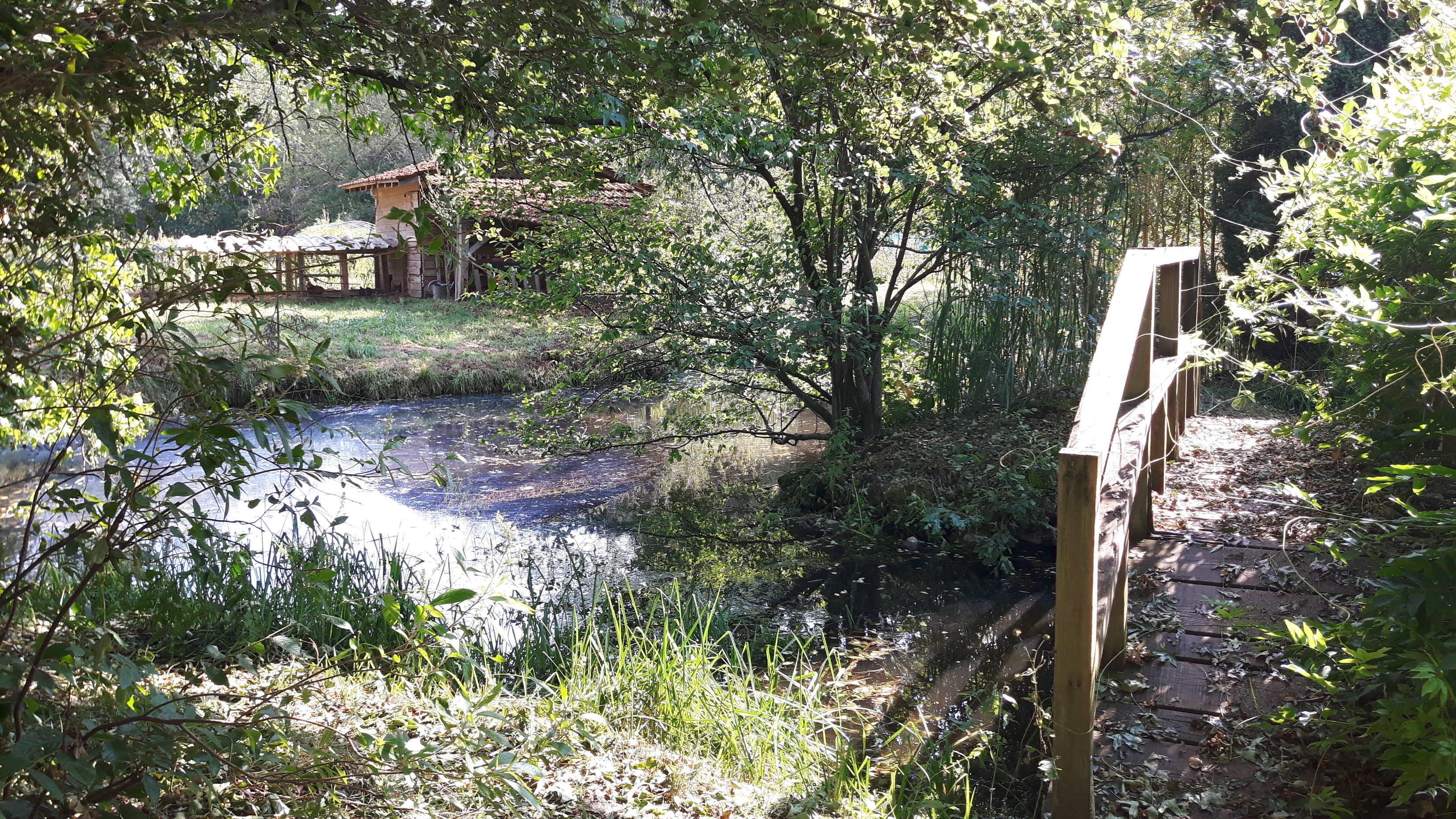Photo n° 9 de l'avis de Alain.i fait le 24/07/2018 à 13:37