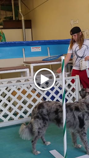 Pet Supply Store «Four Legs Pets Gilberts», reviews and photos, 133 E Higgins Rd, Gilberts, IL 60136, USA