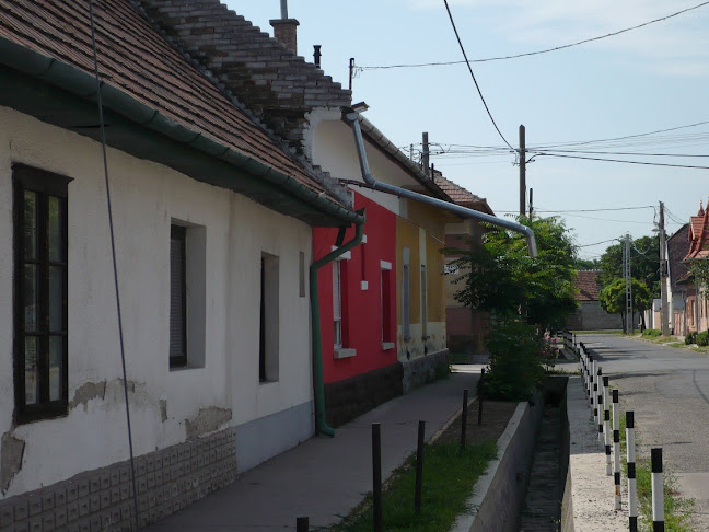 Opinii despre D&D Vitality Személyiedzés és gerinctréning în Budapest - Edzőterem