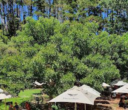 Eagles' Nest Wines photo