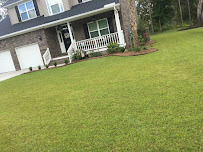 Southern Green Turf Care and Mosquito Control - Photo 9 - Car repair in , North Charleston
