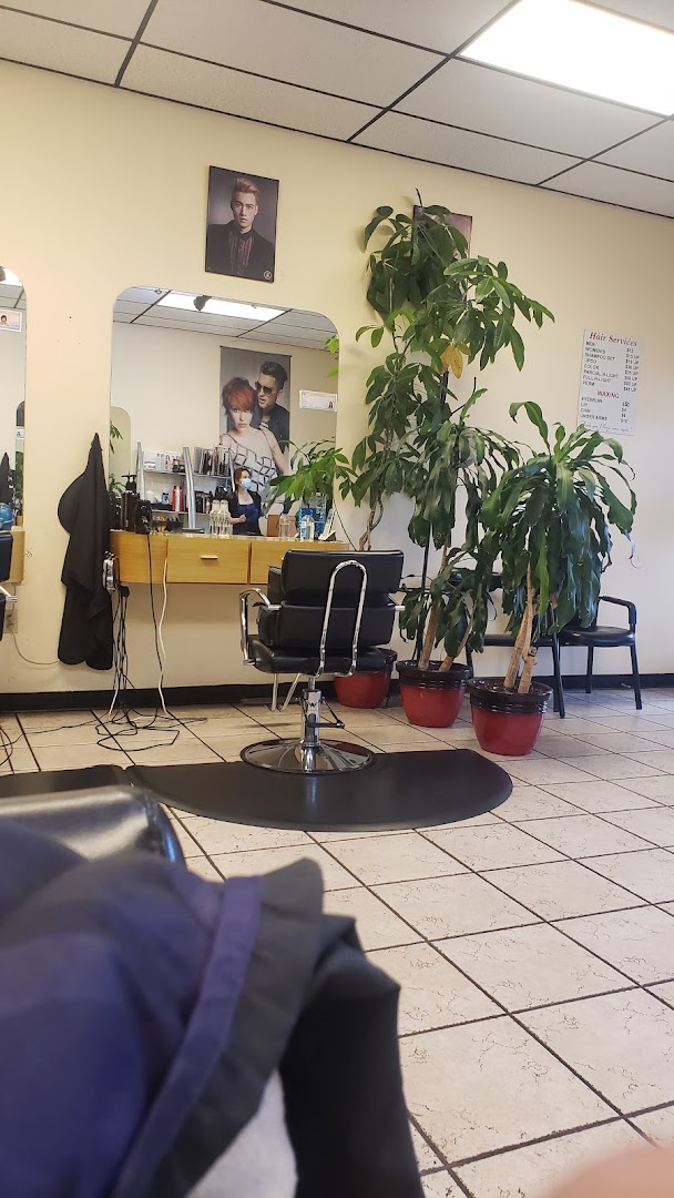Crossgate hair salon