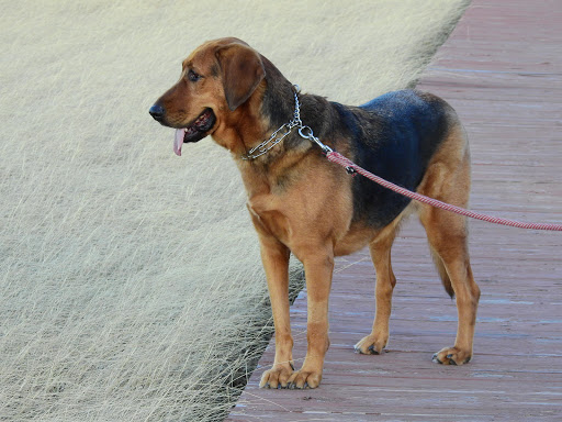 Wine Bar «Pedernales Cellars», reviews and photos, 2916 Upper Albert Rd, Stonewall, TX 78671, USA