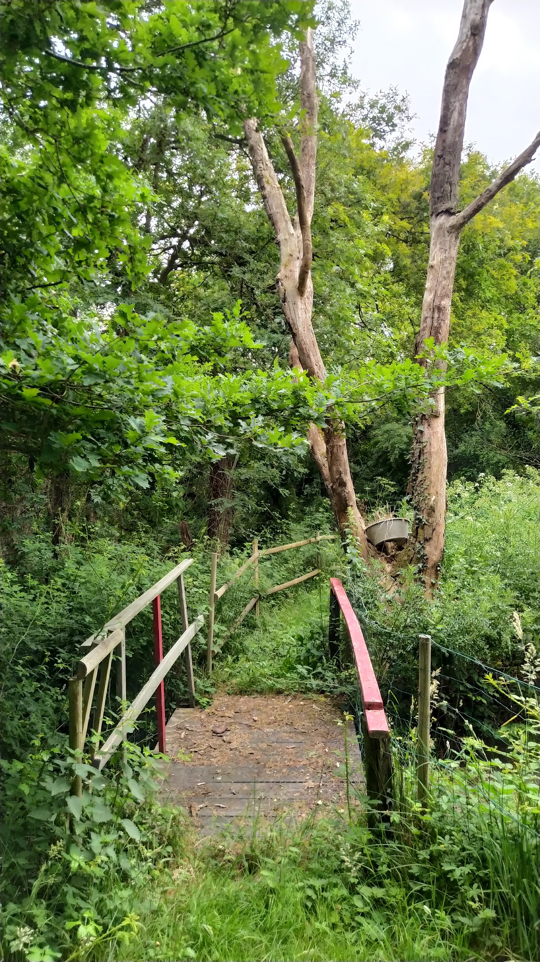 Photo n° 4 de l'avis de Thierry.e fait le 27/05/2022 à 19:22