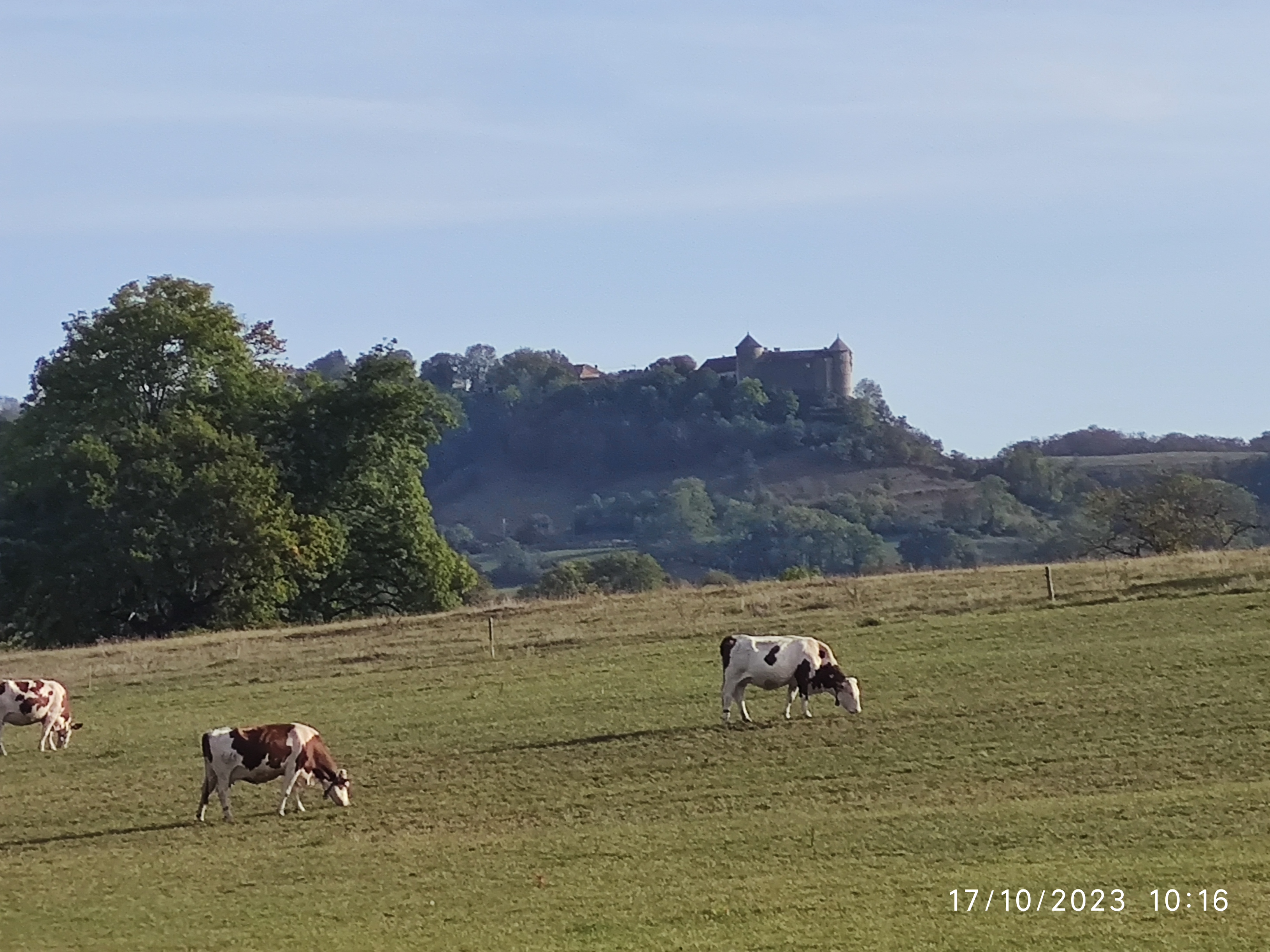 Photo n° 31 de l'avis de Patrick.i fait le 12/12/2023 à 10:07