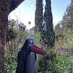 Photo n°4 de l'avis de Kathja.a fait le 24/09/2023 à 07:34 sur le  Fränkischer Hof Marktbreit à Marktbreit