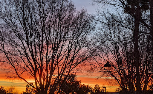 Park «Summerlin Centre Community Park», reviews and photos, 10588 Marketwalk Pl, Las Vegas, NV 89135, USA