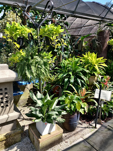 Wholesale Plant Nursery «Galloway Farm Nursery Inc.», reviews and photos, 7790 SW 87th Ave, Miami, FL 33173, USA