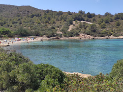Playa Sa Plageta'in fotoğrafı çok temiz temizlik seviyesi ile