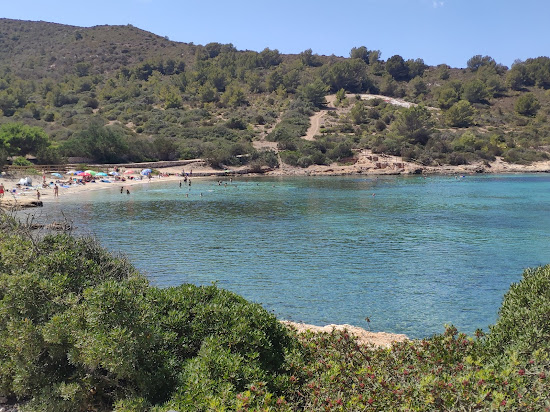 Playa Sa Plageta